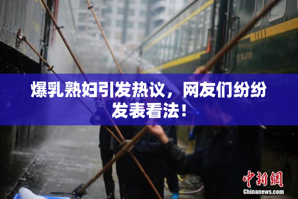 爆乳熟妇引发热议，网友们纷纷发表看法！