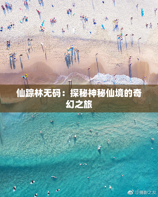 仙踪林无码：探秘神秘仙境的奇幻之旅