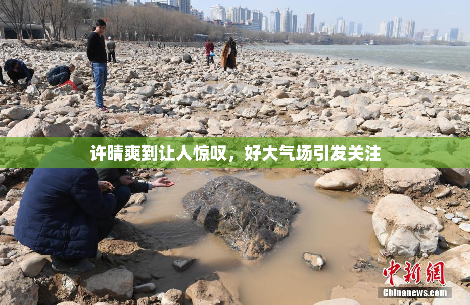 许晴爽到让人惊叹，好大气场引发关注