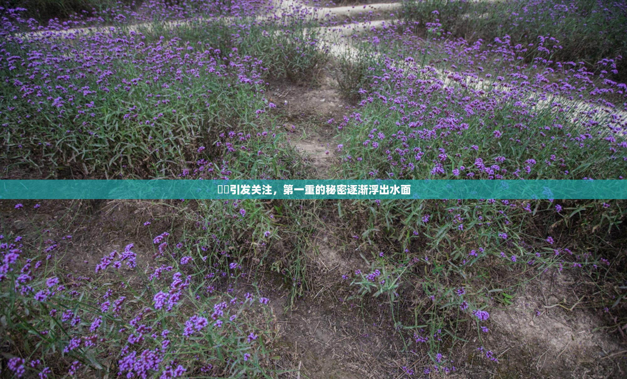 妺妺引发关注，第一重的秘密逐渐浮出水面