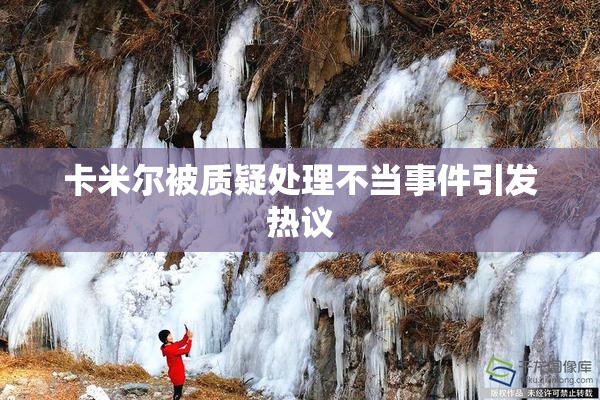 卡米尔被质疑处理不当事件引发热议