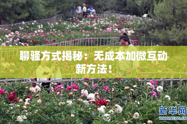 聊骚方式揭秘：无成本加微互动新方法！
