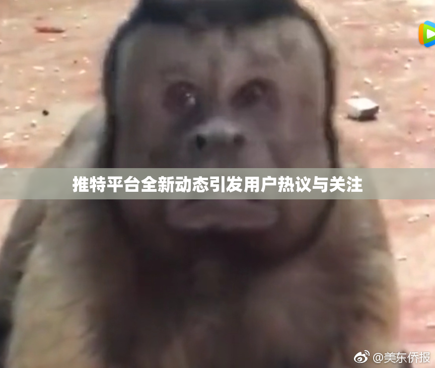 推特平台全新动态引发用户热议与关注