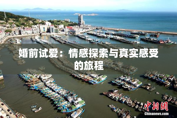 婚前试爱：情感探索与真实感受的旅程