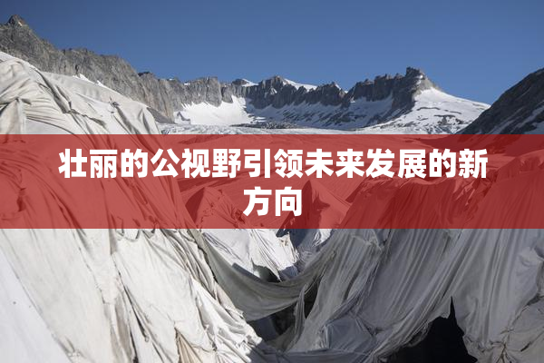 壮丽的公视野引领未来发展的新方向