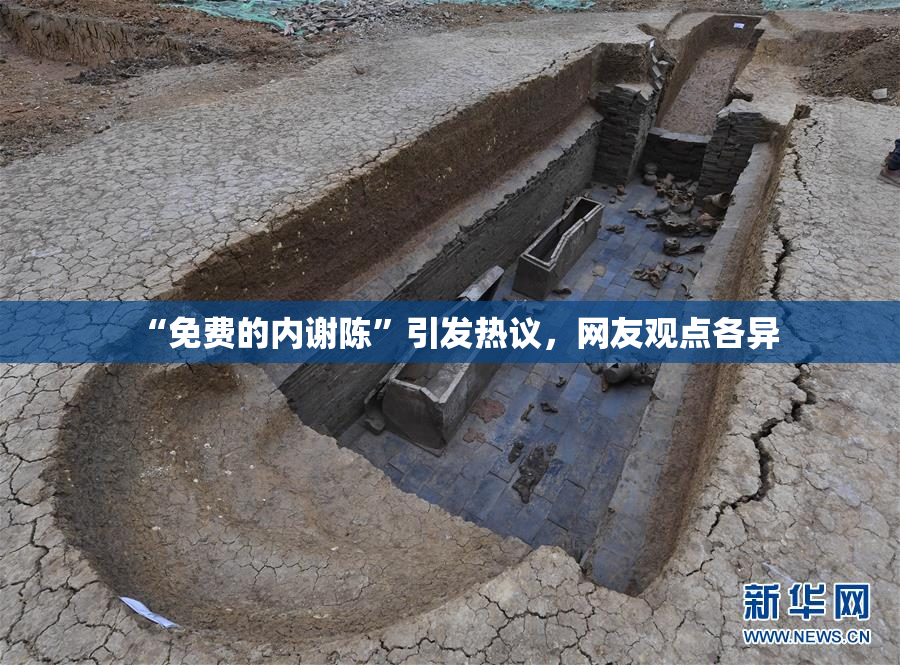 “免费的内谢陈”引发热议，网友观点各异