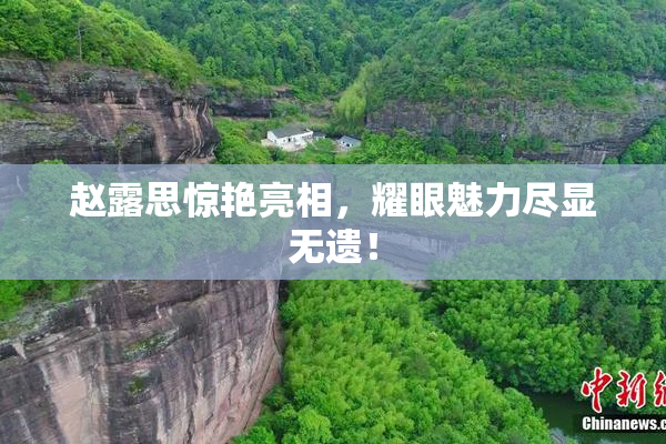 赵露思惊艳亮相，耀眼魅力尽显无遗！
