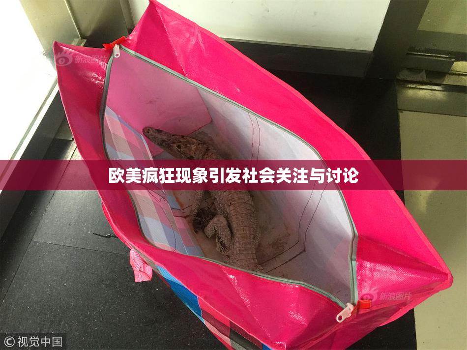 欧美疯狂现象引发社会关注与讨论