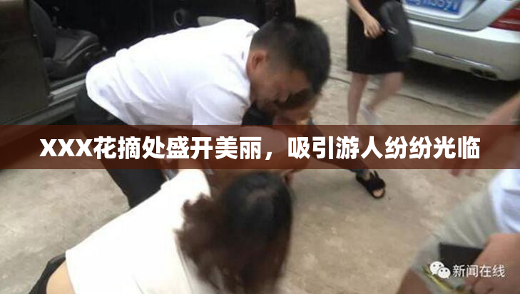 XXX花摘处盛开美丽，吸引游人纷纷光临