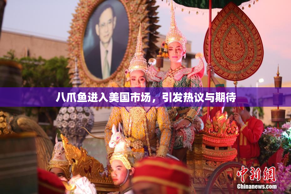 八爪鱼进入美国市场，引发热议与期待