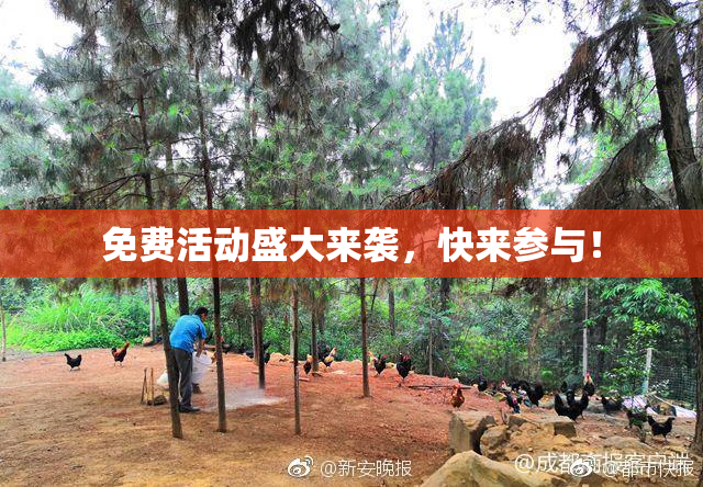 免费活动盛大来袭，快来参与！