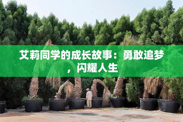 艾莉同学的成长故事：勇敢追梦，闪耀人生