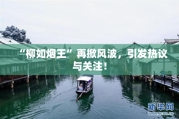 “柳如烟王”再掀风波，引发热议与关注！
