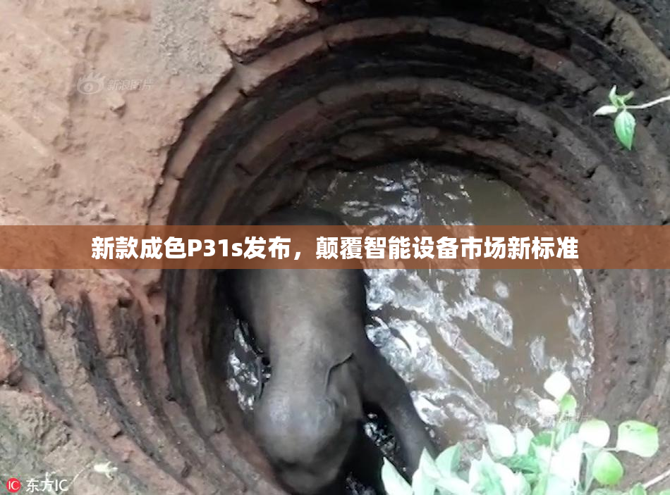 新款成色P31s发布，颠覆智能设备市场新标准