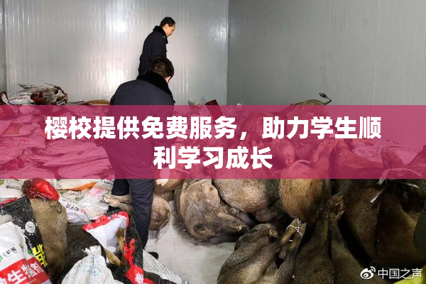 樱校提供免费服务，助力学生顺利学习成长