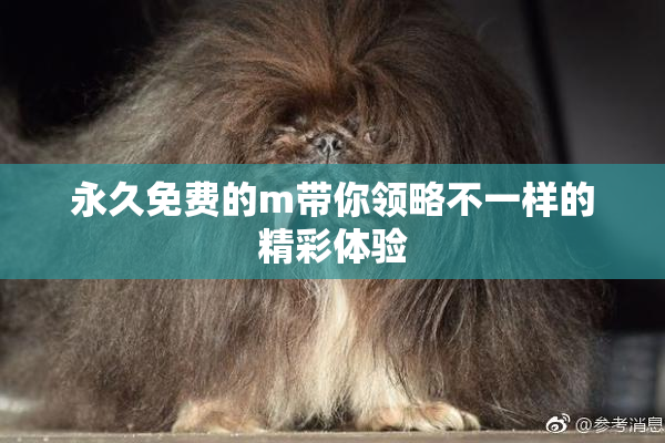 永久免费的m带你领略不一样的精彩体验