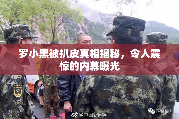 罗小黑被扒皮真相揭秘，令人震惊的内幕曝光