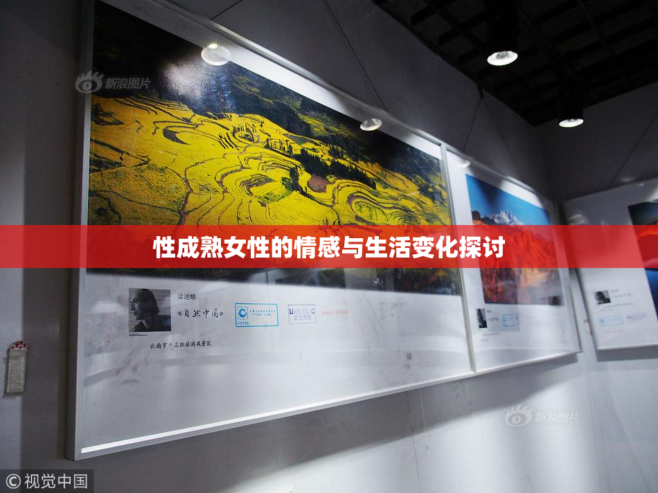 性成熟女性的情感与生活变化探讨