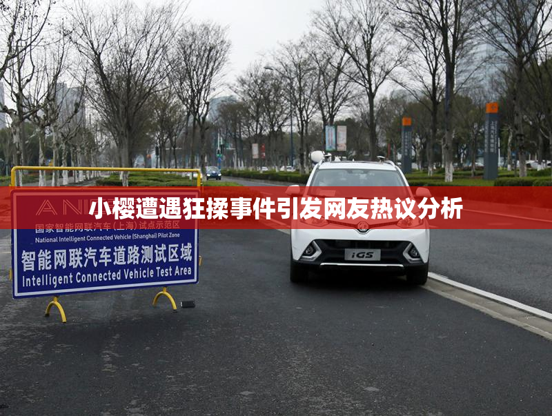 小樱遭遇狂揉事件引发网友热议分析