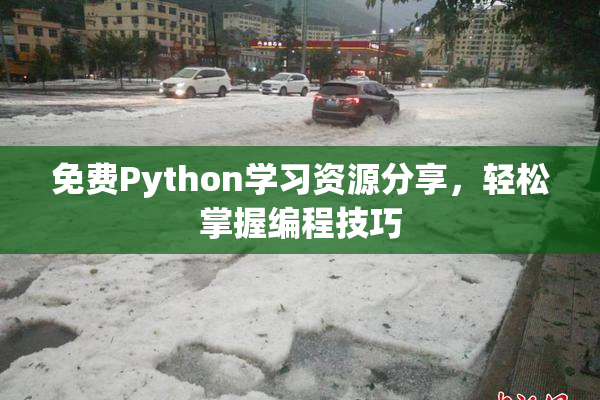 免费Python学习资源分享，轻松掌握编程技巧
