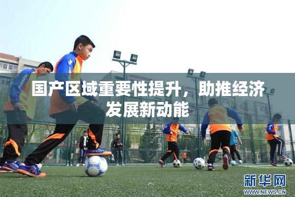 国产区域重要性提升，助推经济发展新动能
