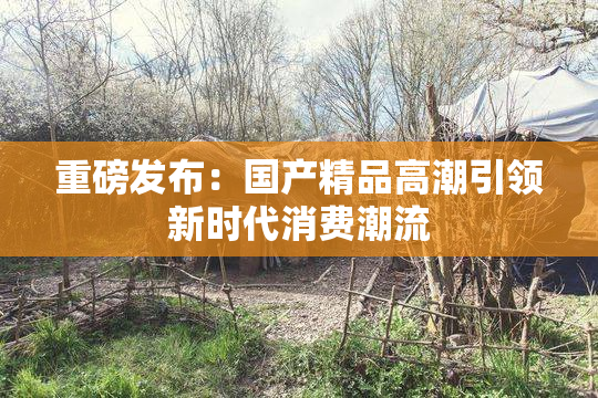 重磅发布：国产精品高潮引领新时代消费潮流