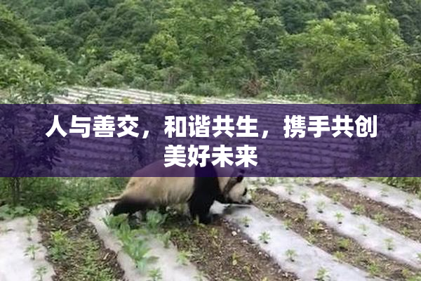 人与善交，和谐共生，携手共创美好未来