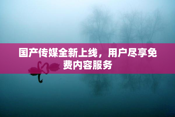 国产传媒全新上线，用户尽享免费内容服务