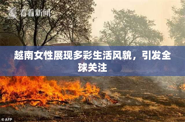 越南女性展现多彩生活风貌，引发全球关注