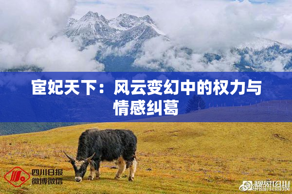 宦妃天下：风云变幻中的权力与情感纠葛