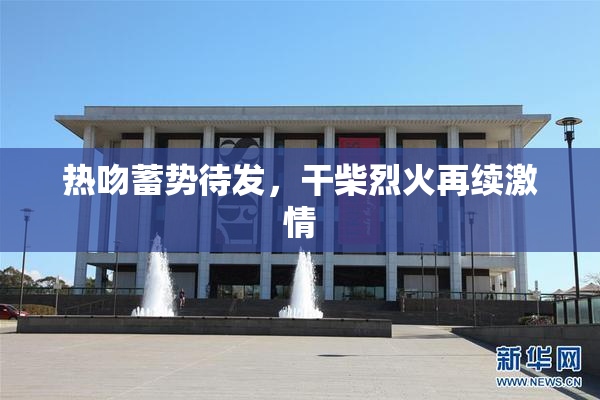 热吻蓄势待发，干柴烈火再续激情