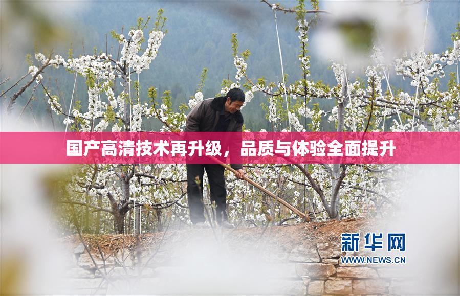 国产高清技术再升级，品质与体验全面提升
