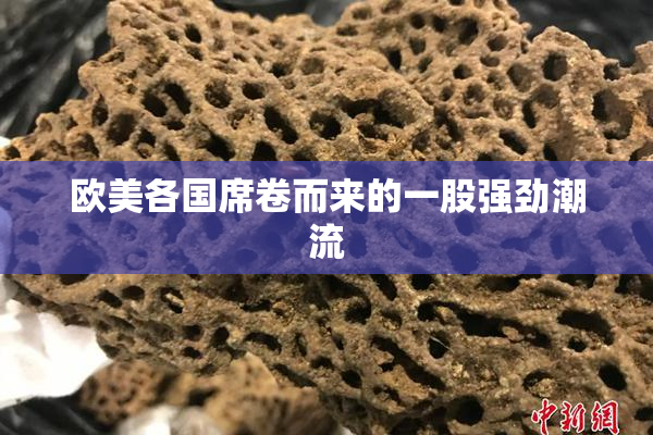 欧美各国席卷而来的一股强劲潮流