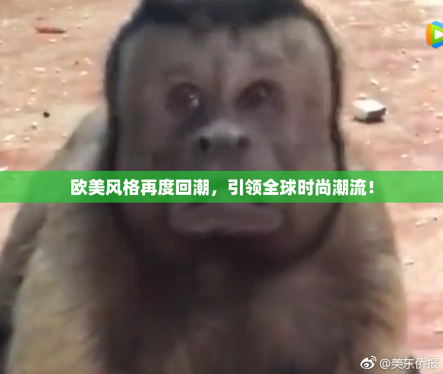 欧美风格再度回潮，引领全球时尚潮流！