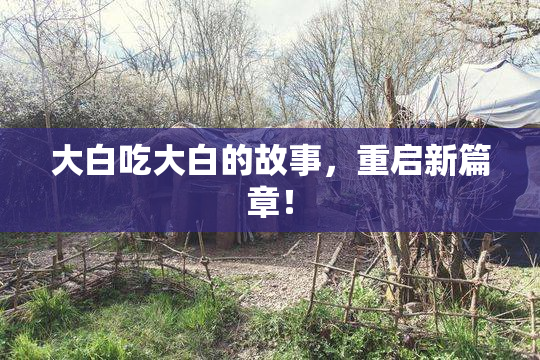 大白吃大白的故事，重启新篇章！