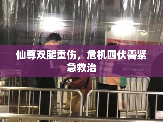 仙尊双腿重伤，危机四伏需紧急救治