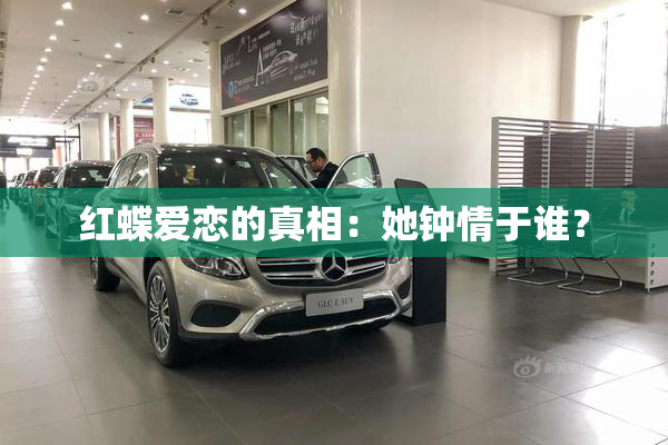 红蝶爱恋的真相：她钟情于谁？