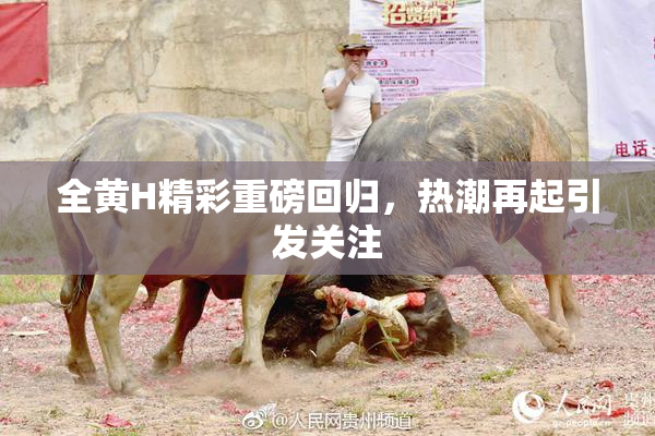 全黄H精彩重磅回归，热潮再起引发关注