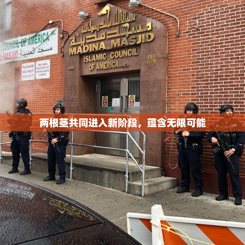 两根茎共同进入新阶段，蕴含无限可能