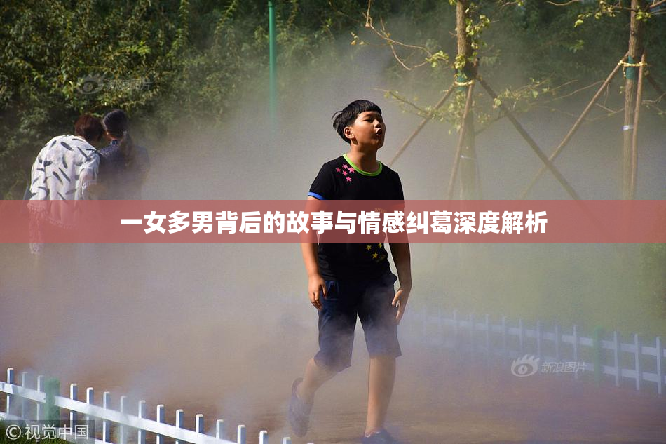 一女多男背后的故事与情感纠葛深度解析