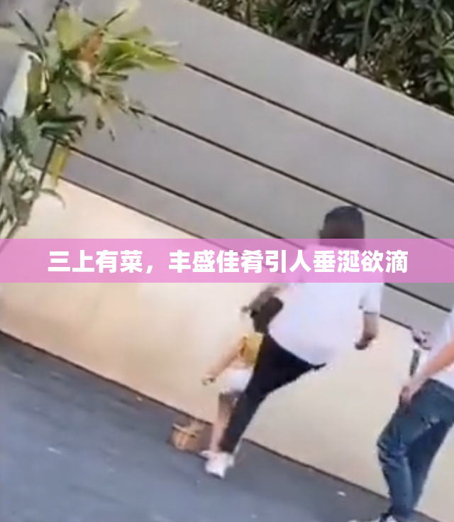 三上有菜，丰盛佳肴引人垂涎欲滴