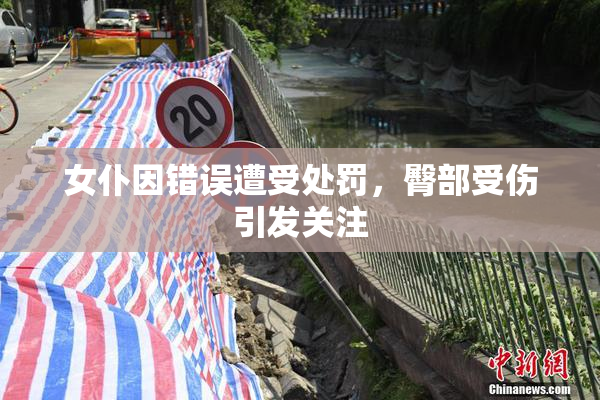 女仆因错误遭受处罚，臀部受伤引发关注