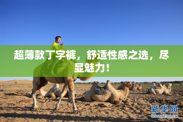 超薄款丁字裤，舒适性感之选，尽显魅力！