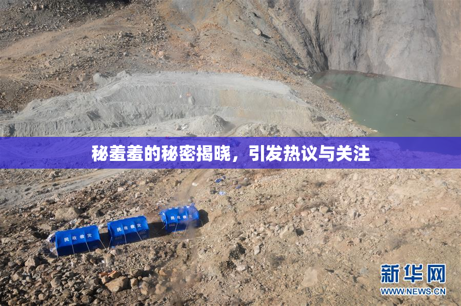 秘羞羞的秘密揭晓，引发热议与关注