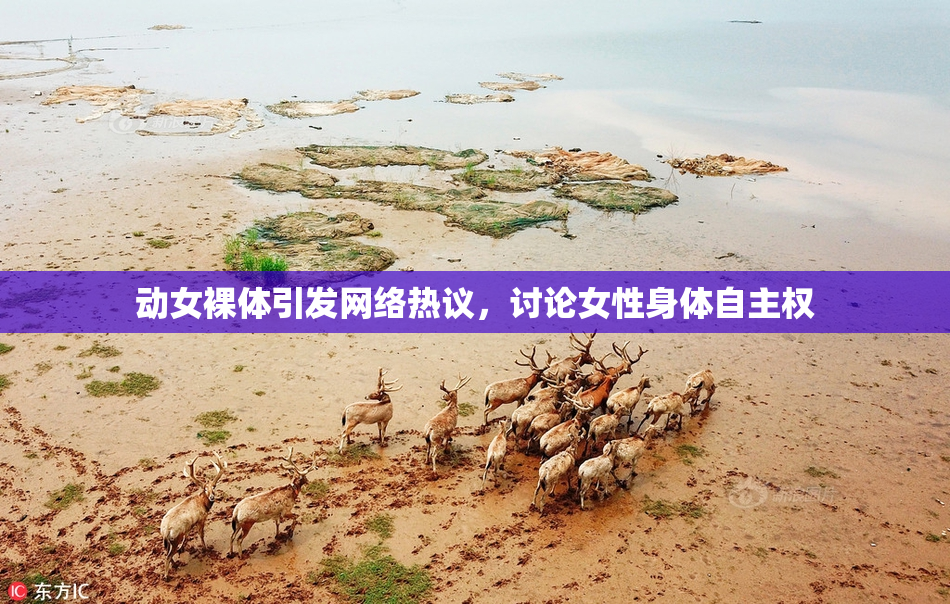 动女裸体引发网络热议，讨论女性身体自主权