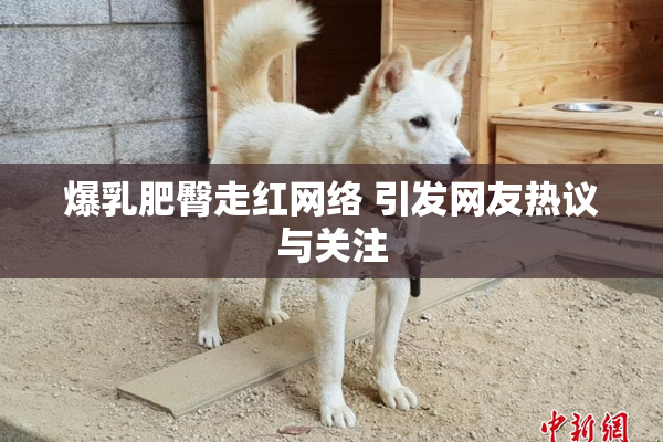 爆乳肥臀走红网络 引发网友热议与关注