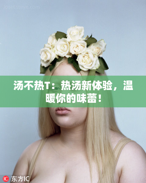 汤不热T：热汤新体验，温暖你的味蕾！