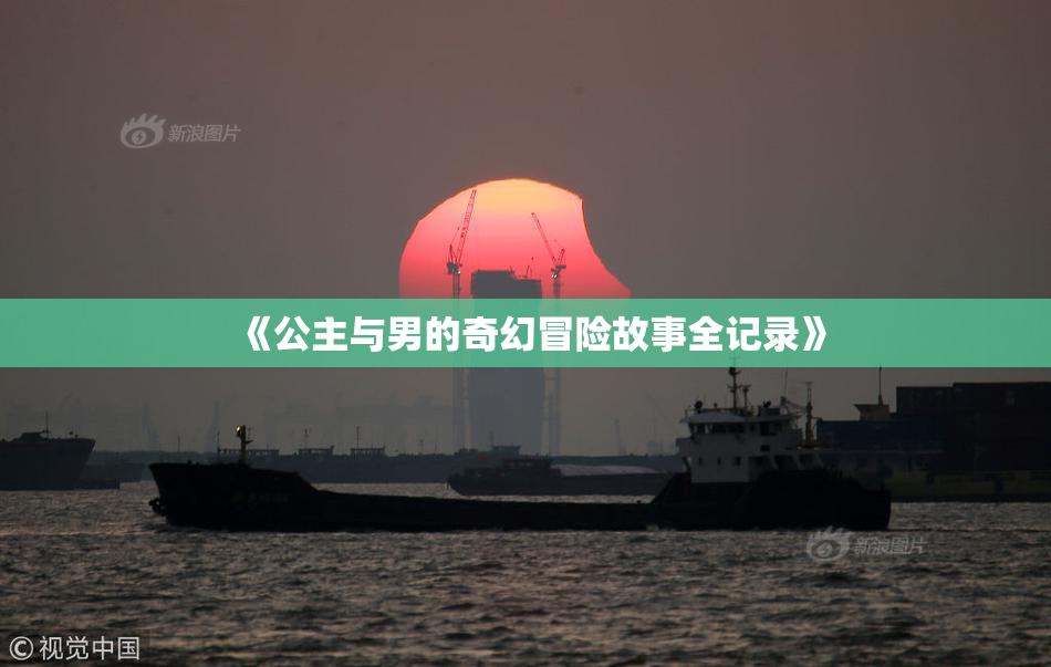 《公主与男的奇幻冒险故事全记录》