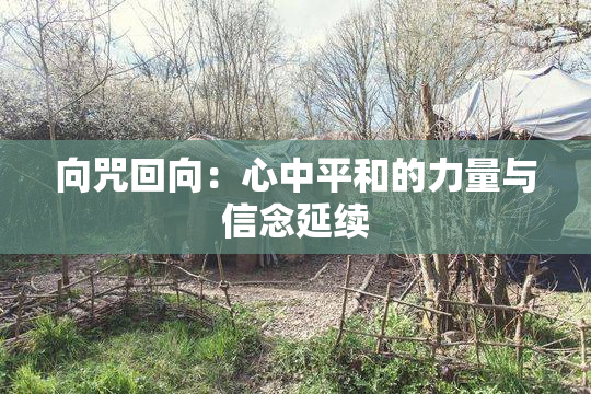 向咒回向：心中平和的力量与信念延续