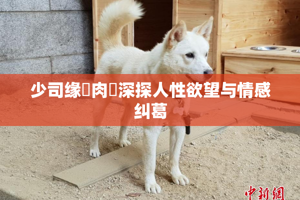 少司缘婬肉泬深探人性欲望与情感纠葛